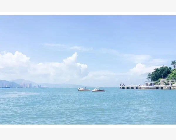 脾胃虚寒中药的禁忌与注意事项