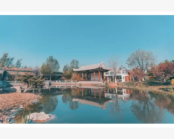 中药调理脾胃：舒缓胃肠不适，重拾健康生活的秘诀