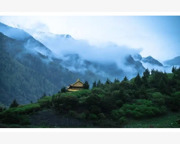 中医脾胃病的常见病症及其调理方法